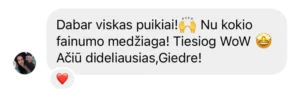 Canva kursas atsiliepimas