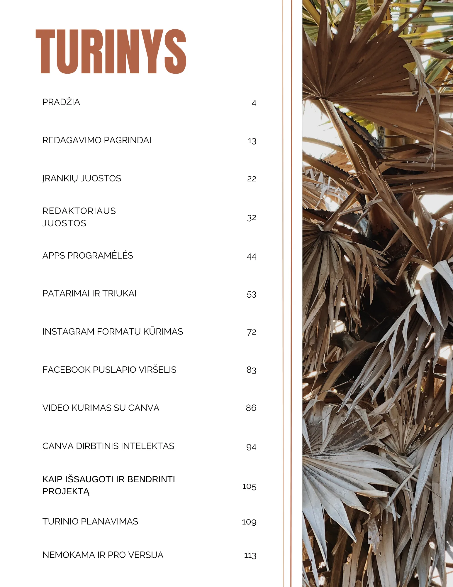 Canva Vadovas - Image 2