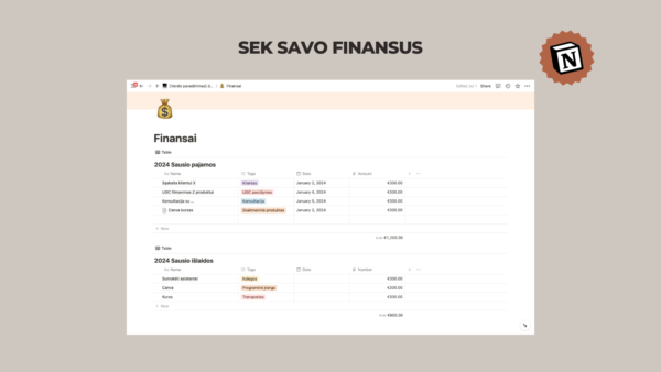 notion šablonas _SMM specialistams ir verslams finansai